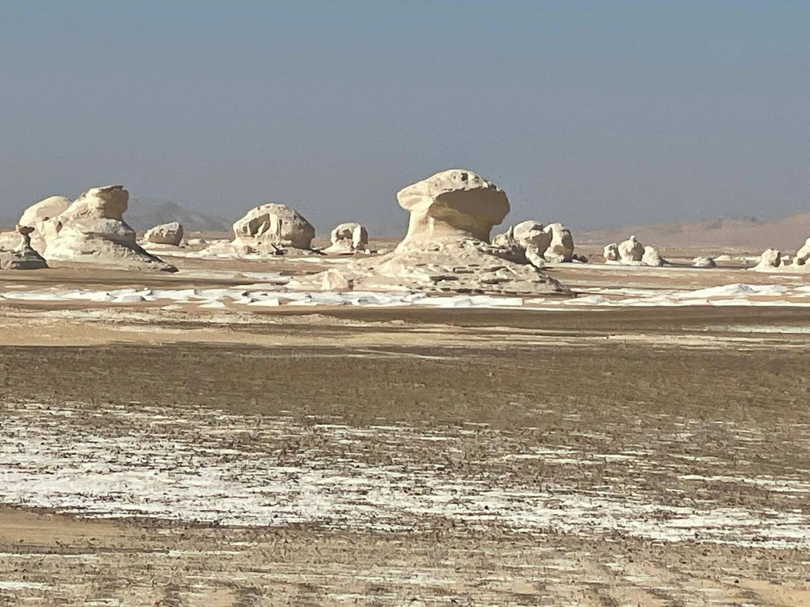 🏜️ White Desert Safari Adventure White Desert Safiri Adventure /IMG-20260516-WA0053.jpg